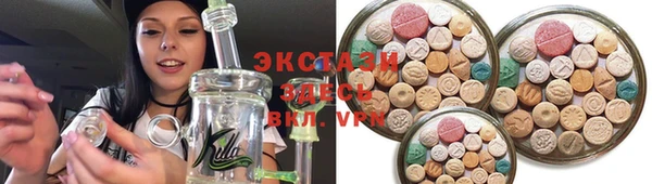 стаф Дмитровск