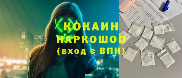 крисы Дмитриев