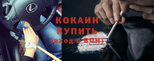 крисы Дмитриев