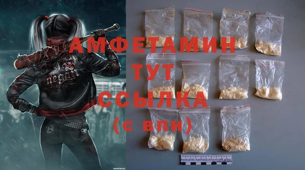 стаф Дмитровск