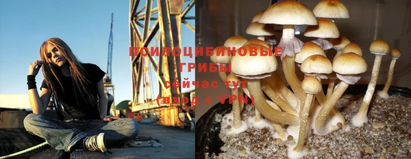крисы Дмитриев