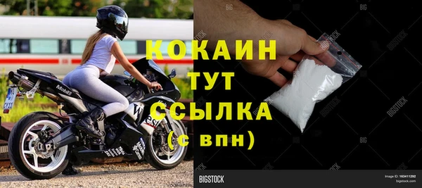 стаф Дмитровск