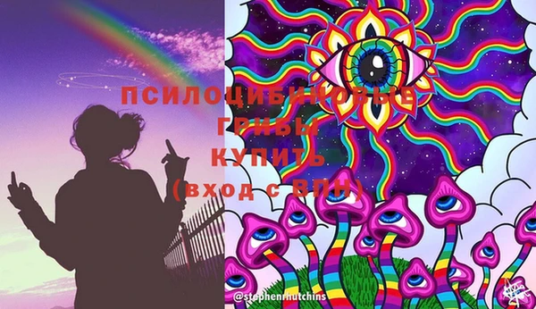 стаф Дмитровск