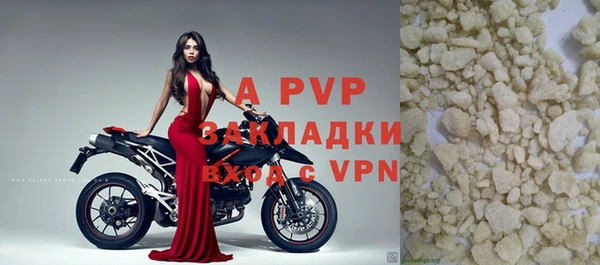 стаф Дмитровск